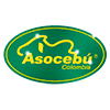 asocebu